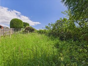 Back garden- click for photo gallery